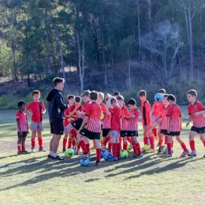 holland park hawks va logan lightning google 2659